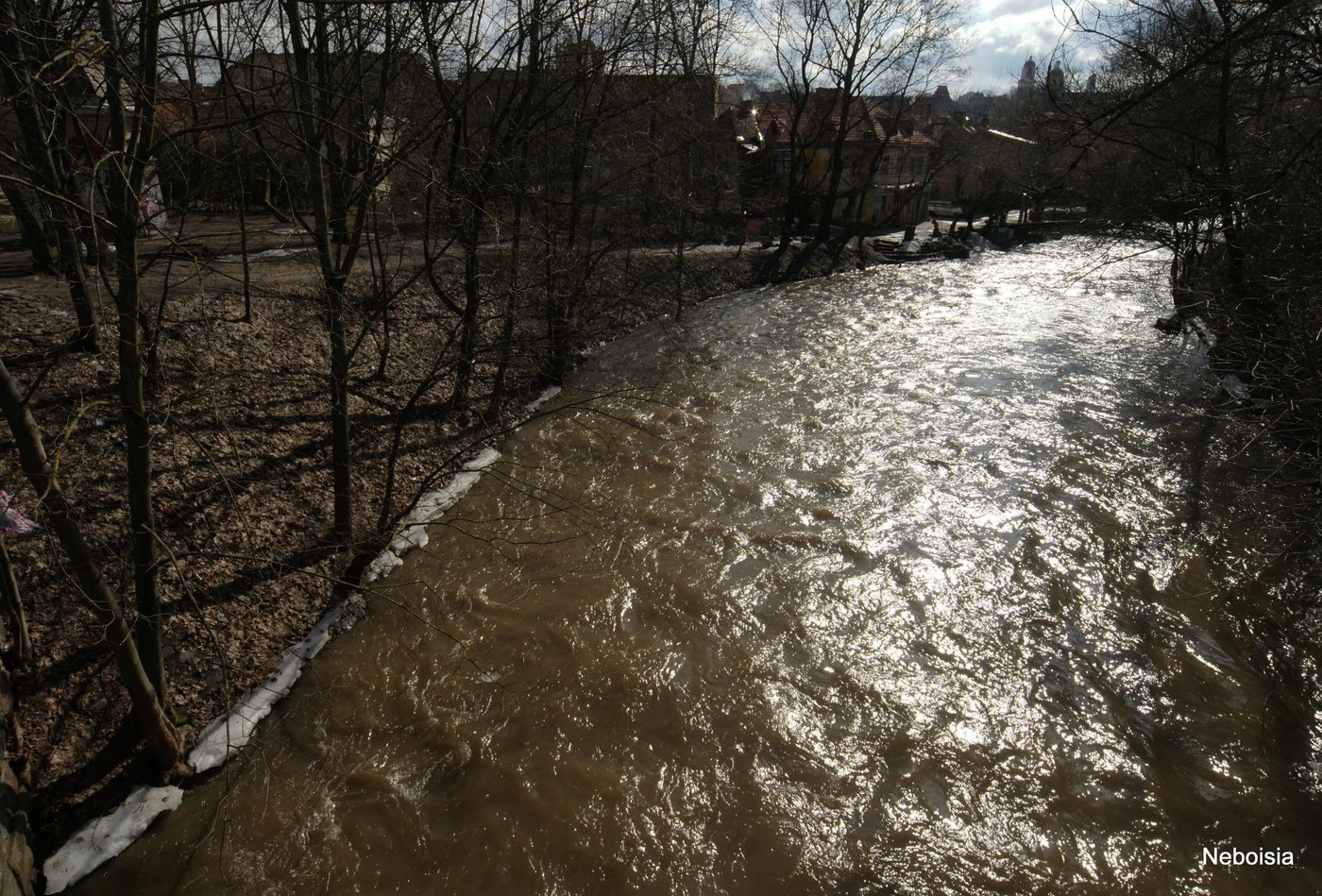 Srovė